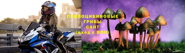 хмурый Алексеевка