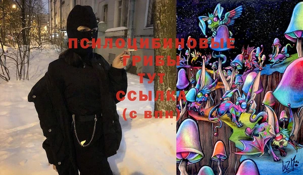 МДПВ Армянск