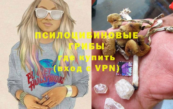PSILOCYBIN Алексин
